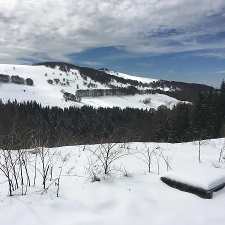 Maison Auvergnate Traditionnelle Recemment Renovee